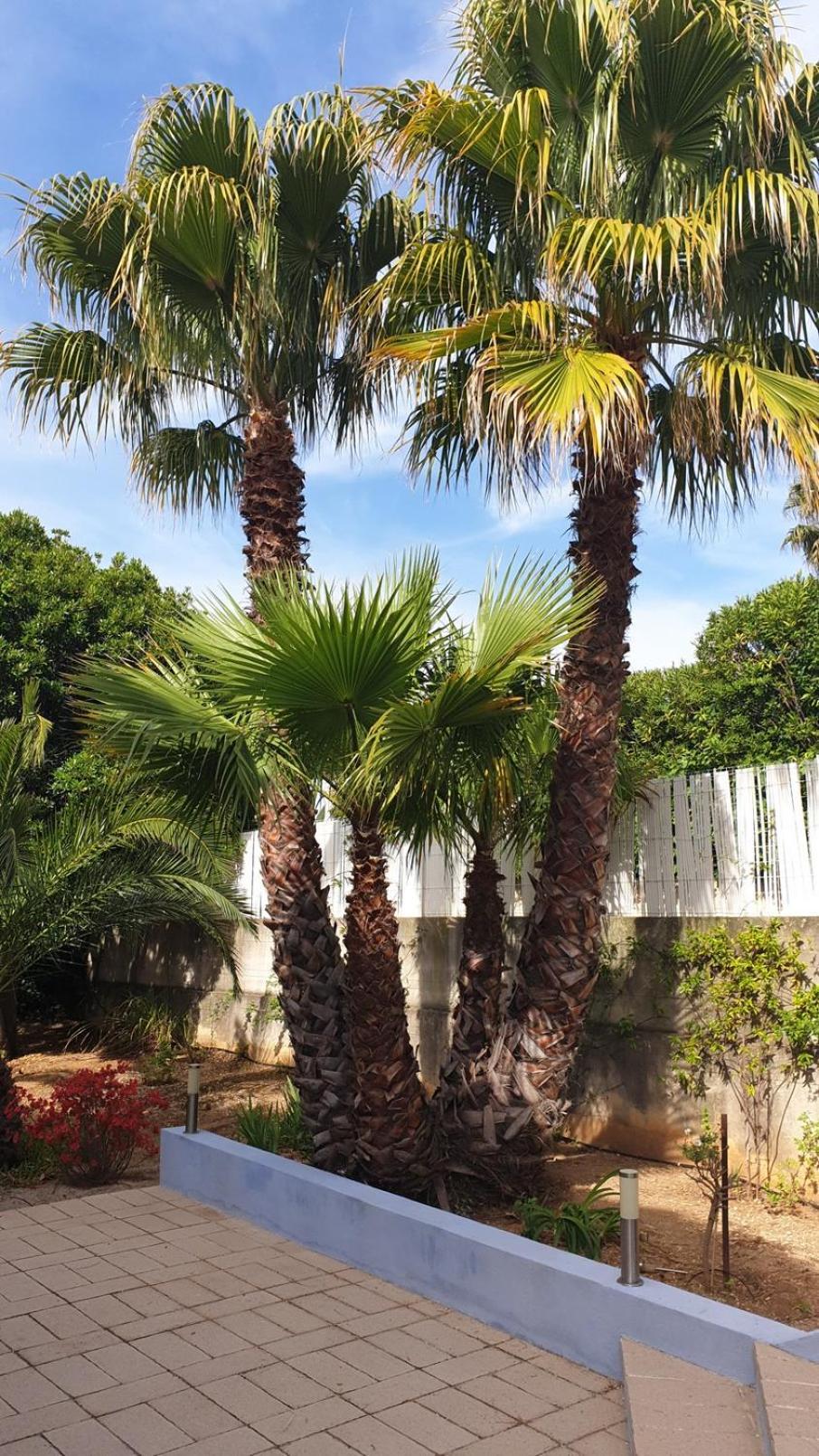 Villa Andalucia, Pisc Chauf Mai A Sept La Ciotat Extérieur photo
